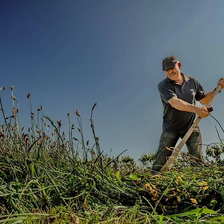 Casa Do Cruzeiro * Riba de Mouro