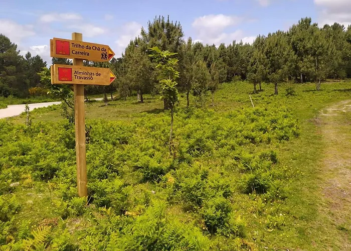 Casa Do Cruzeiro Riba de Mouro