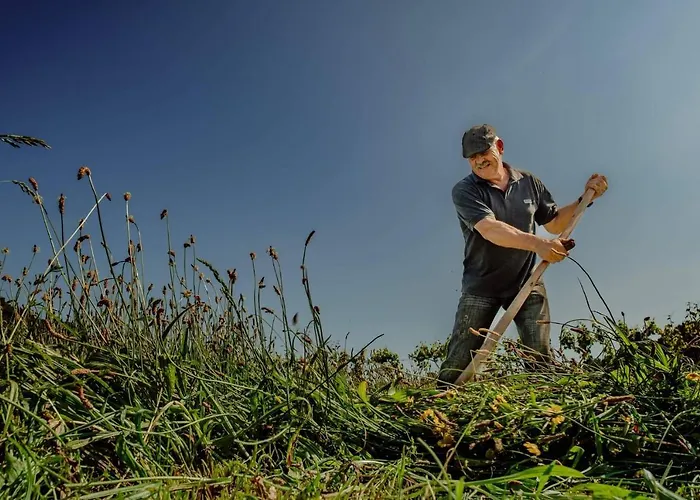 Casa Do Cruzeiro * Riba de Mouro